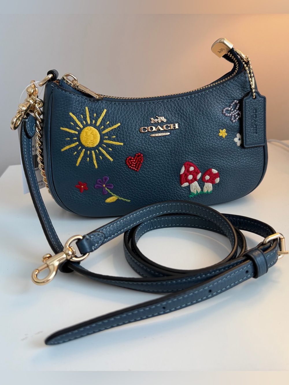 COACH Teri Mini Crossbody Bag With Embroidery - Picture 11 of 17
